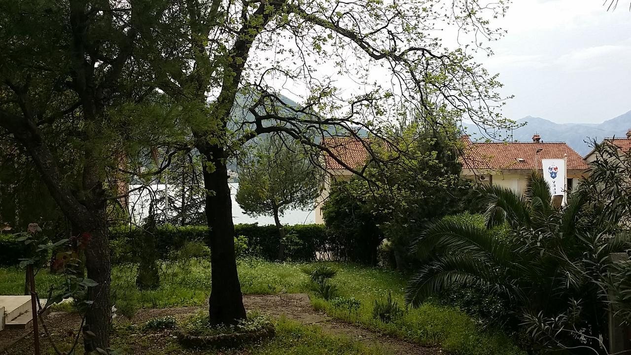 Apartman - Dobrota Sun Kotor Exteriör bild